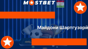 Майдони Шартгузорӣ